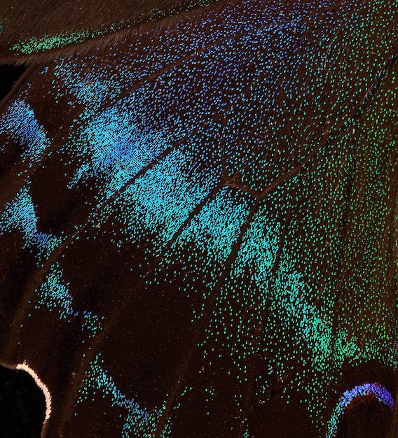 A close-up shot of the drone's advanced sensor array, highlighting its high-resolution cameras and thermal imaging capabilities. The image emphasizes the intricate details of the technology.