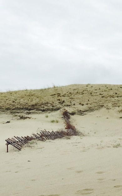 How the US Military is Adapting to Climate Change