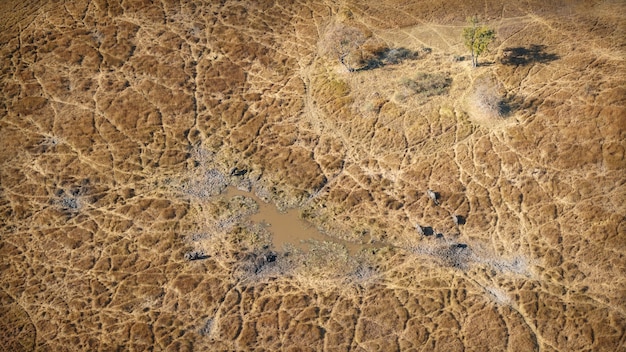 A satellite image depicting a region experiencing severe drought conditions, with military personnel providing humanitarian aid to affected populations.