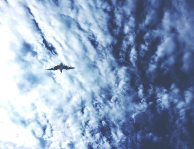 The Future of Military Aviation: Analyzing the Air Force’s Next-Gen Fighter Program