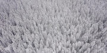 The Battle of the Bulge: Weather's Impact on Outcome - Cover Image
