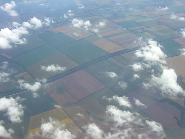 Global Food Crisis & US National Security: A Deep Dive