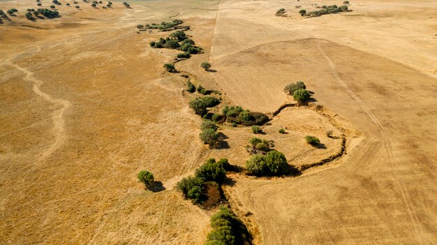 A satellite image showing drought-affected land transforming into arid desert, highlighting environmental degradation impacting food sources.